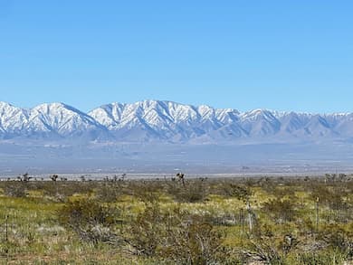 Gorgeous snowy mountain range in Southern California. Skoolie Vacation Rental - Glamping and Camping with WiFi Work From Anywhere Remote Work Digital Nomad - Family Friendly