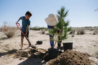 Kids Planting Trees in the Desert. Afforestation Nonprofit in Los Angeles County Homeschooling Homesteading Skoolie Vacation Rental Shortterm Airbnb